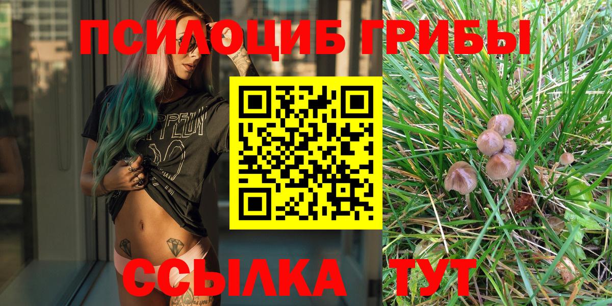 Геленджик  Галлюциногенные грибы мицелий  Вход с VPN 